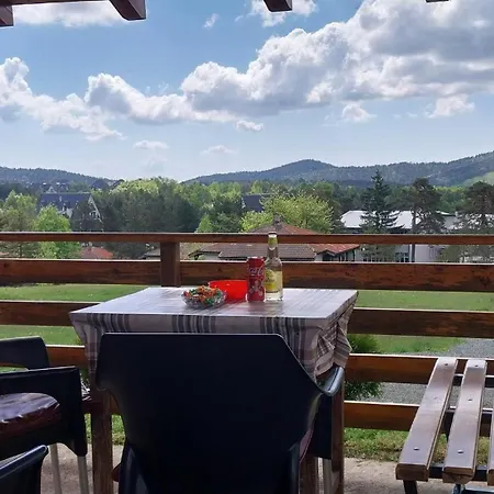 Radovanovic Divčibare