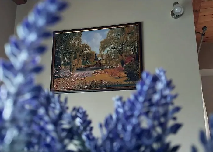 Apartman Radovanovic Divcibare